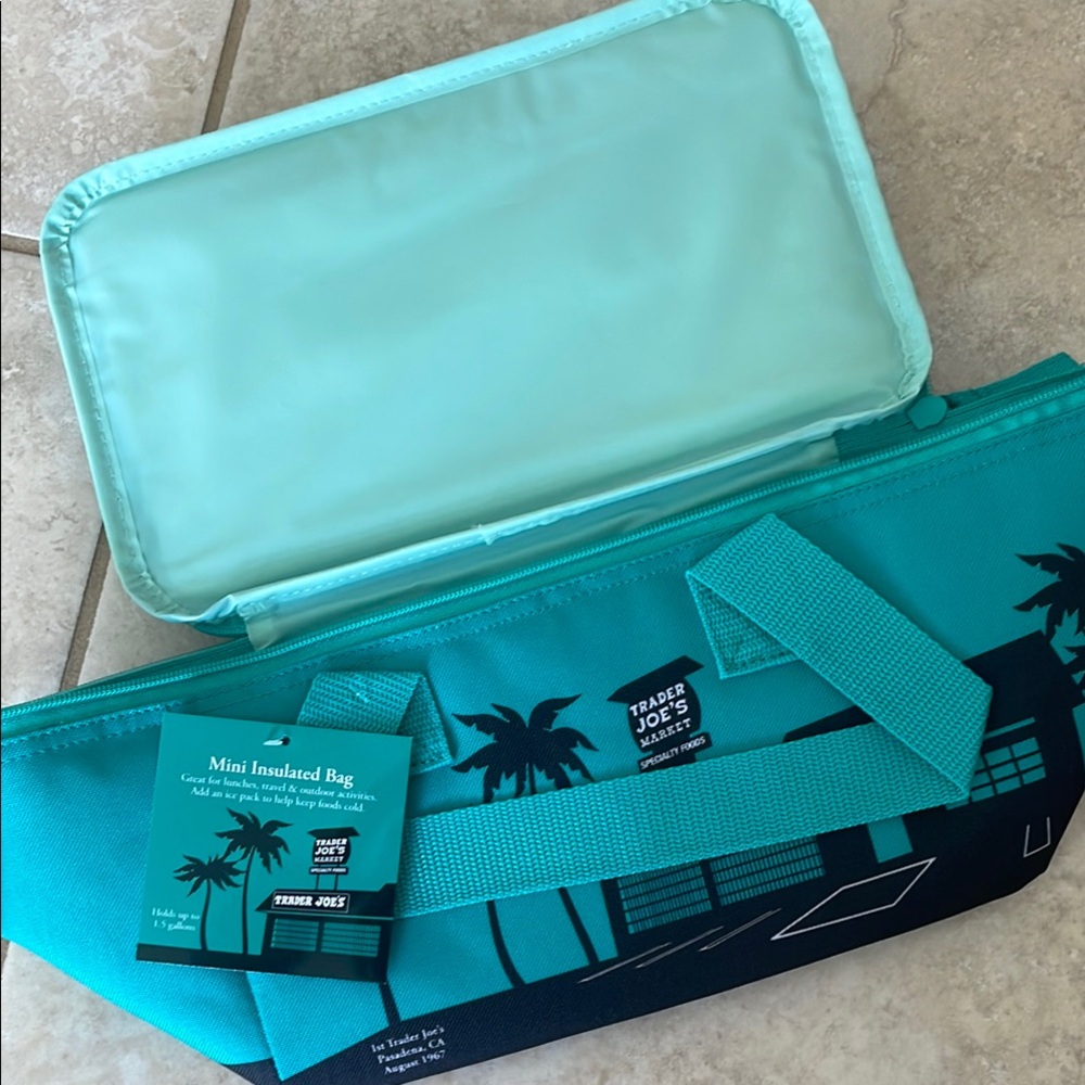 Trader Joe's Teal Mini Insulated Bag